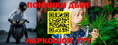 стафф Славгород