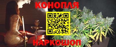 гашик Сланцы