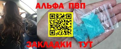 стафф Славгород