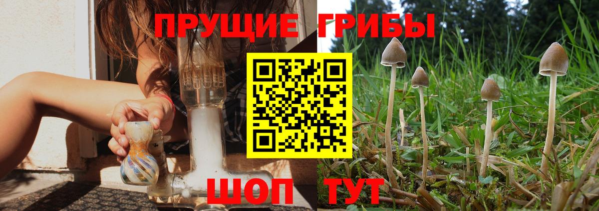 Псилоцибиновые грибы прущие грибы  Галлюциногенные грибы GOLDEN TEACHER  Острогожск  Вход с VPN 