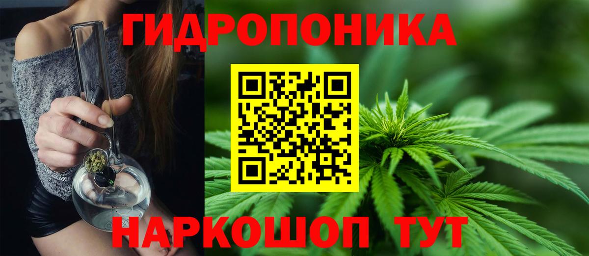 Бошки марихуана планчик  Вход с VPN  Конопля тримм  МАРИХУАНА Bruce Banner  Острогожск  Канабис индика 